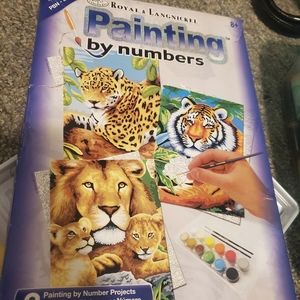 Royal & Langnickle paint by numbers set